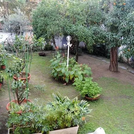 Apartment Con Giardino Nel Cuore Di Viareggio